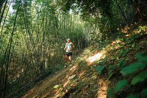 BIB: 
                            <button type="button" onclick="openModal(28141328)" class="btn btn-primary btn-sm float-right btn-popup" data-toggle="modal" data-target=".modal-high-quality">
                        <i class="fas fa-shopping-cart"></i> Add to Cart
                    </button>
                                            <button type="button" onclick="isThisMe(28141328, true)" class="btn btn-success btn-sm float-right btn-popup btn-isme hidden" data-toggle="tooltip" data-placement="bottom" title="นี่คือรูปของคุณใช่ไหม คลิกที่นี่เพื่อเอาเข้าอัลบั้ม">
                        <i class="fas fa-plus"></i> Add to album
                    </button>
                    <button type="button" onclick="isThisMe(28141328, false)" class="btn btn-warning btn-sm float-right btn-popup btn-isnotme hidden">
                        <i class="fas fa-ban"></i> Remove from album
                    </button>